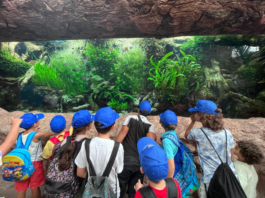 niños aprendiendo ingles jugando summer camp